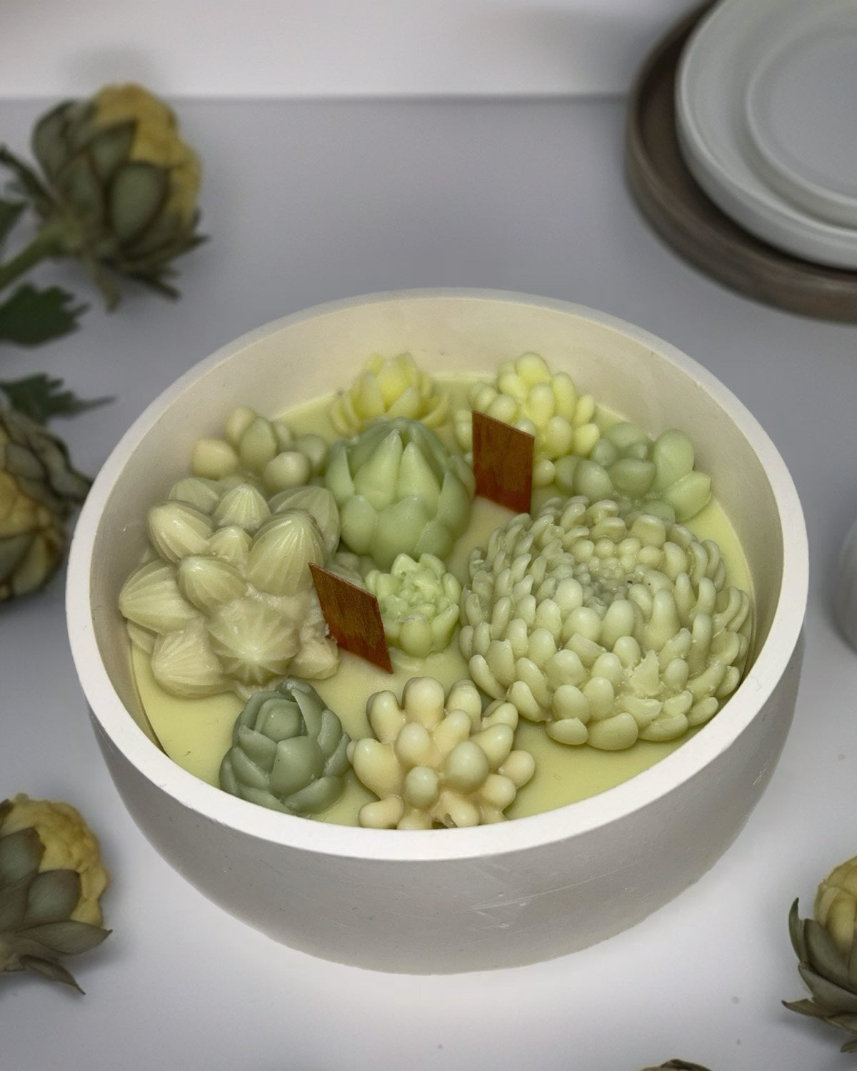 Succulent Candle